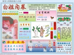白小姐内幕A