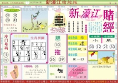 新濠江赌经A